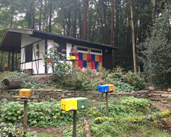Lehrbienenstand 1